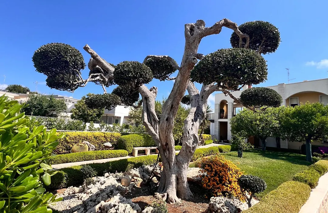 B&B La Rosa Blu-1