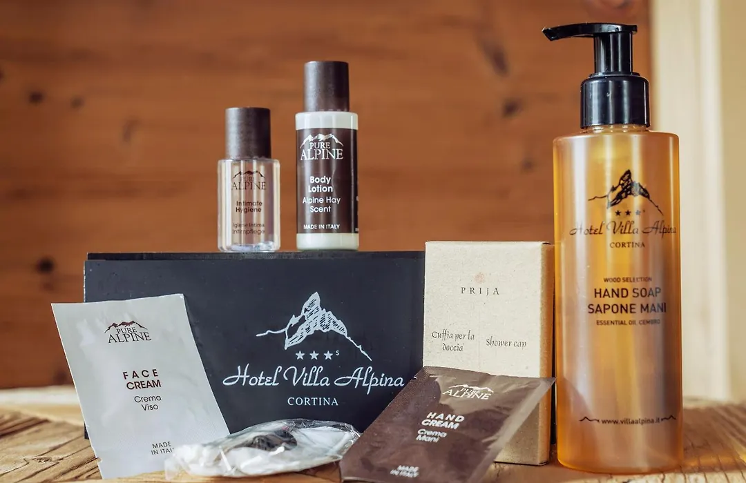 Hotel Villa Alpina ***S-1