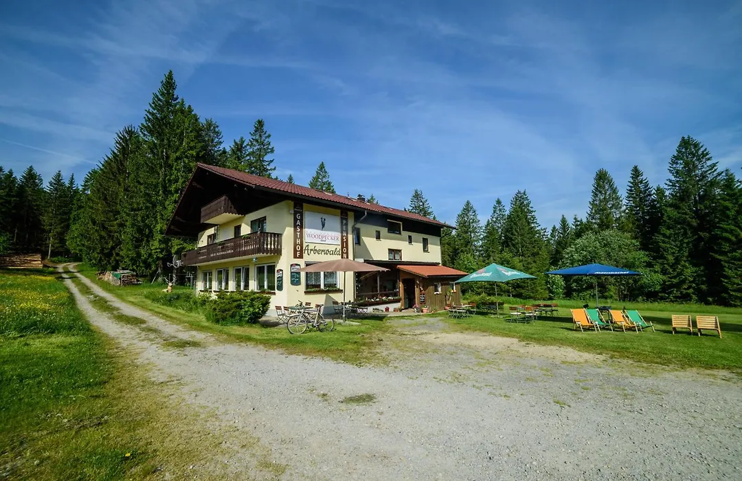 Pension Arberwald-1