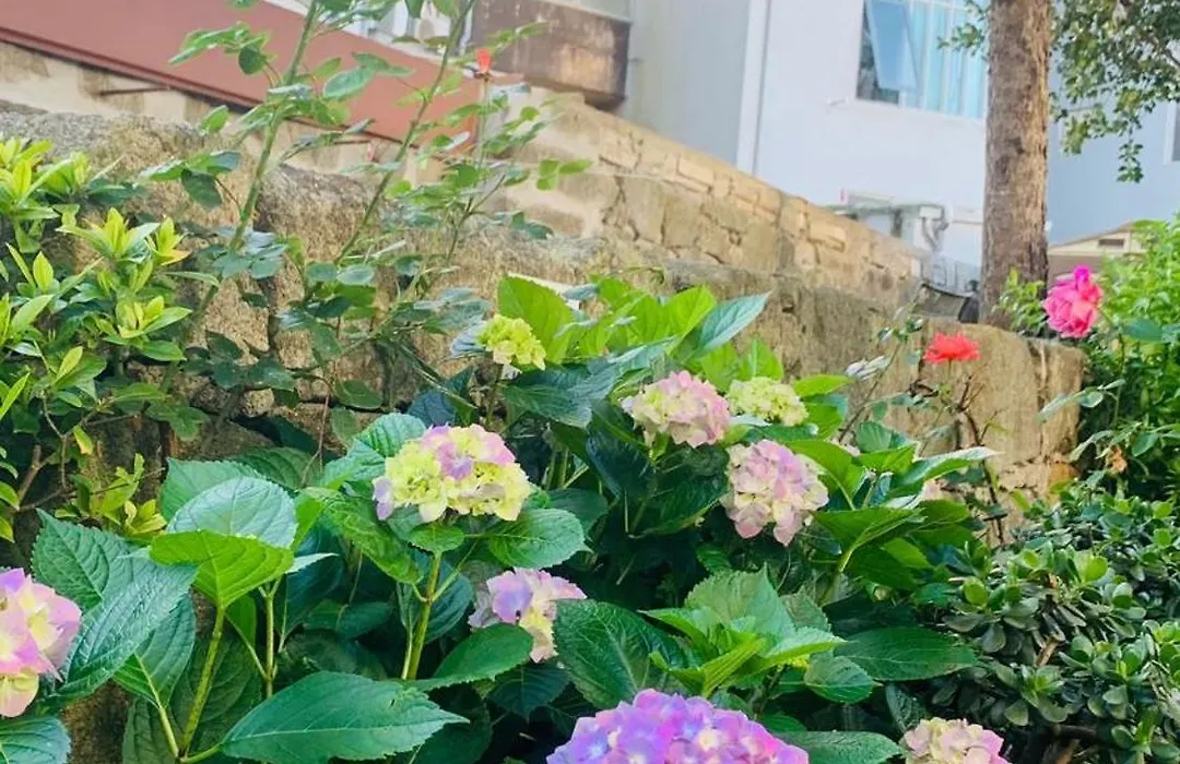 Invicta Porto Guest House-1