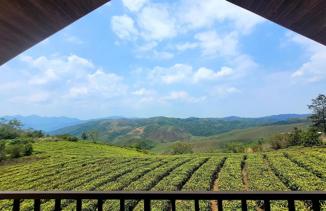 Cloud Canopy - Tea Garden Family Pool Cottage In Vagamon-1