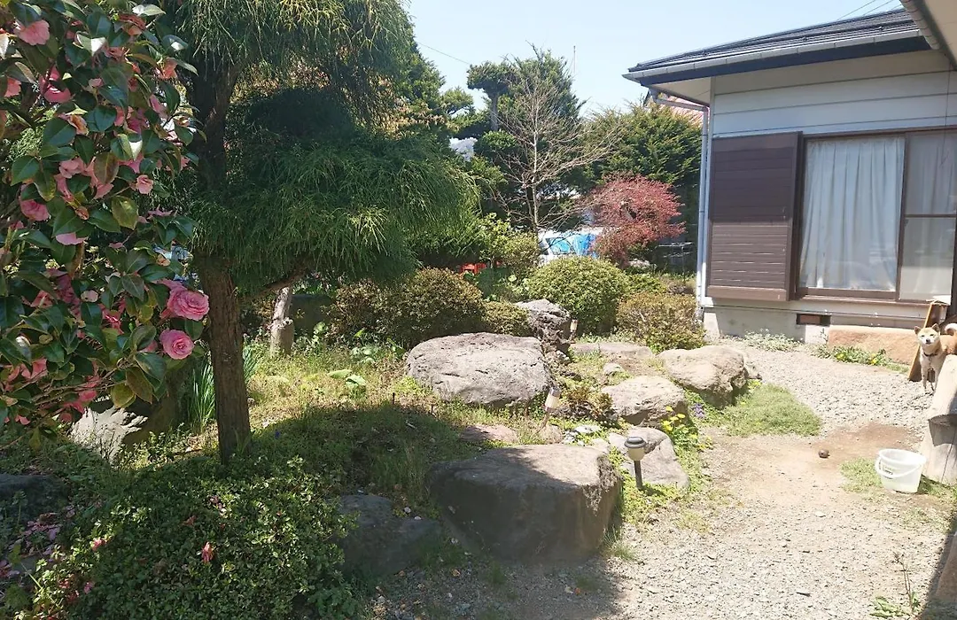 T&T Fujiyama Guest House-1