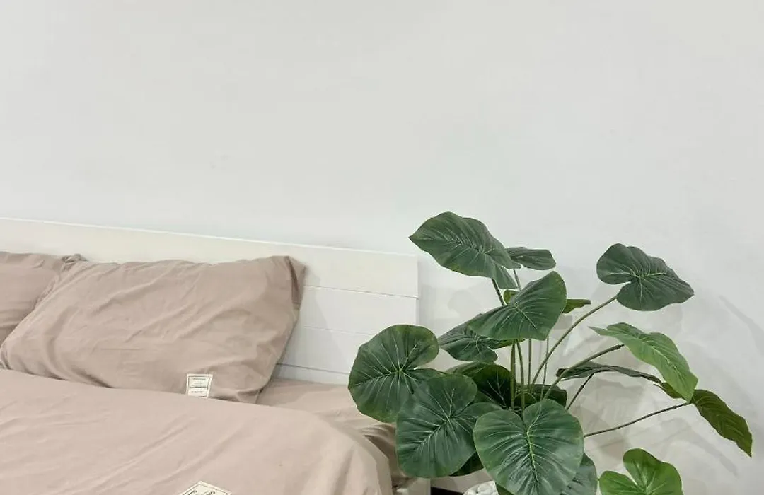 Bom House-1