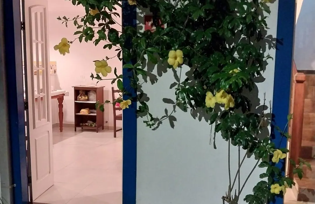 Pousada Flores Da Terra-1
