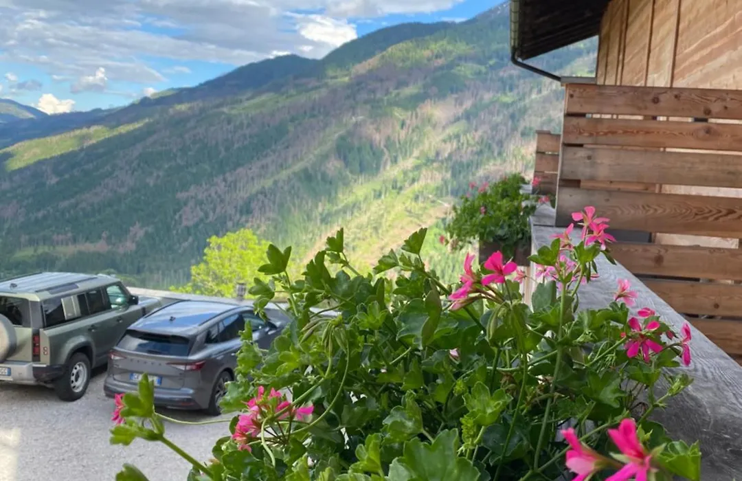 Hotel Almhof-1