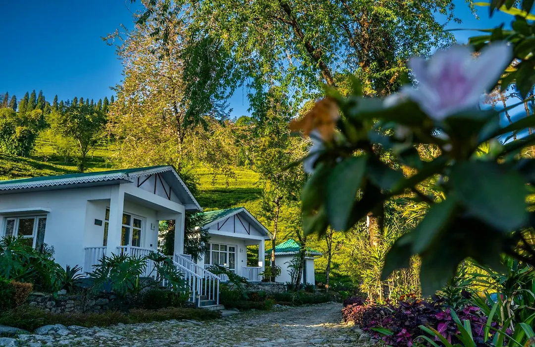 The Temi Bungalow South Sikkim-1