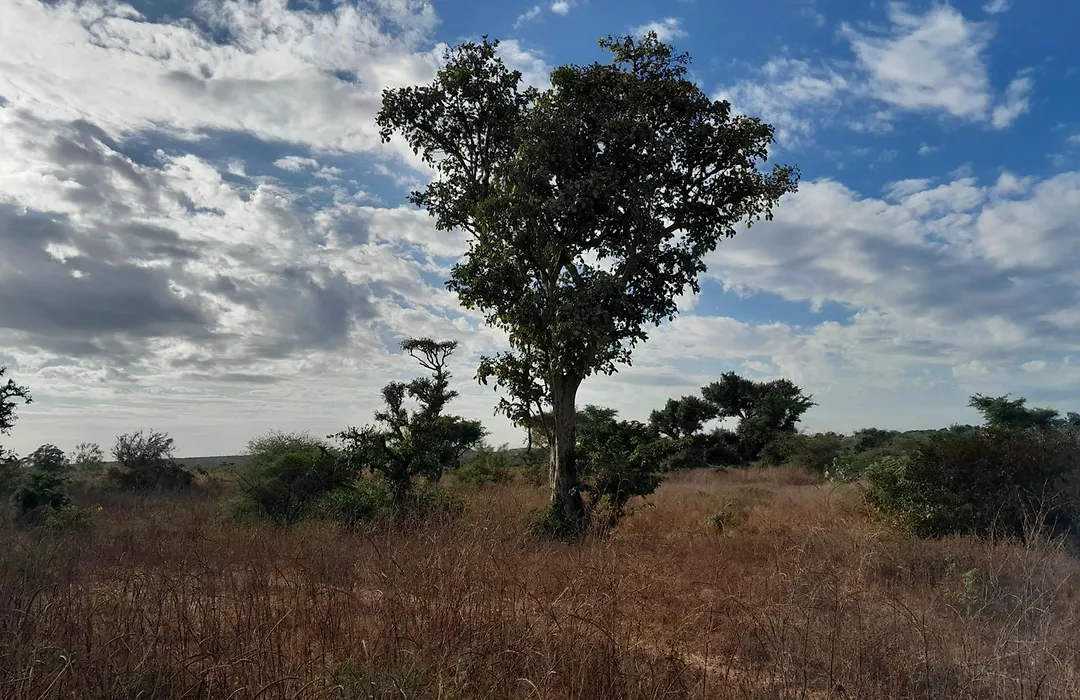 Campement Baobab Chambres D'Hotes 15Mn De L'Aeroport-1