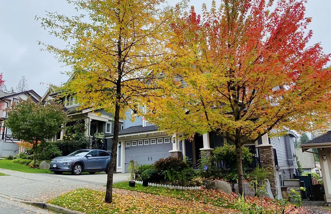 Spotless & Quiet Haven - Cozy Rest Guaranteed - Peaceful Sanctuary, Pure Comfort, Free Parking & Fast Wi-Fi-1