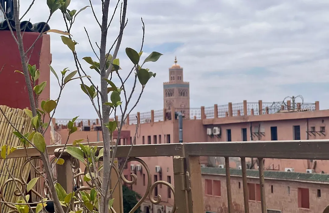 Riad Nice Dina-1