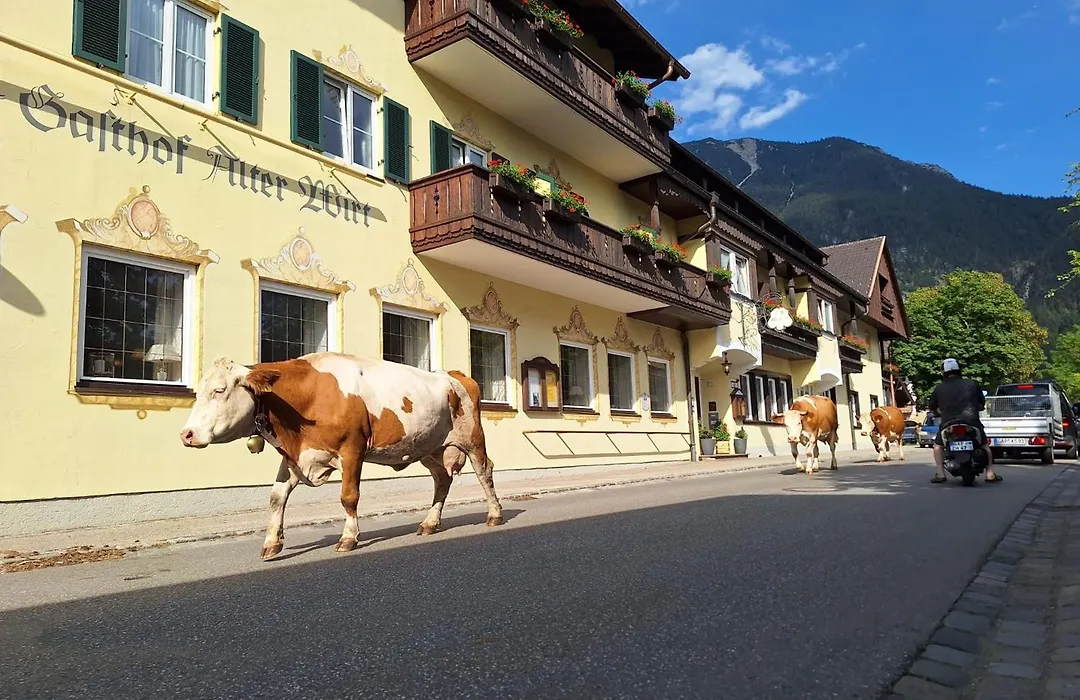 Hotel Gasthof Alter Wirt-1