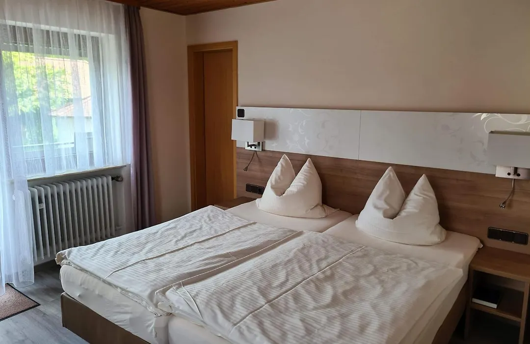 Pension Zum Grünen Wald-1