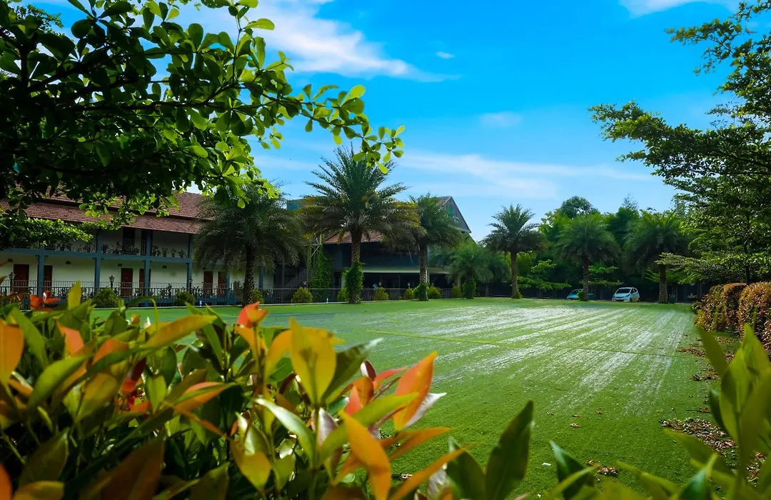 Fern Tree Resort-1
