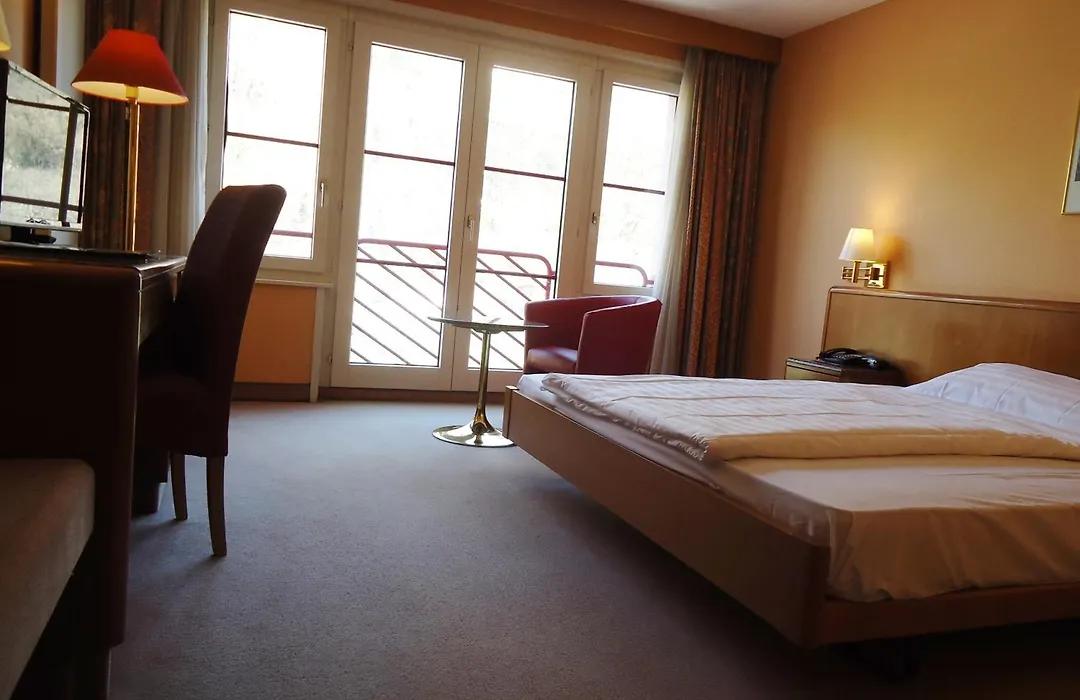 Hotel Le Cedre-1