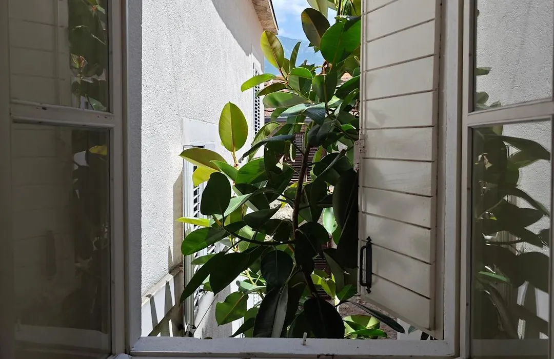 Beatrix Suites-1