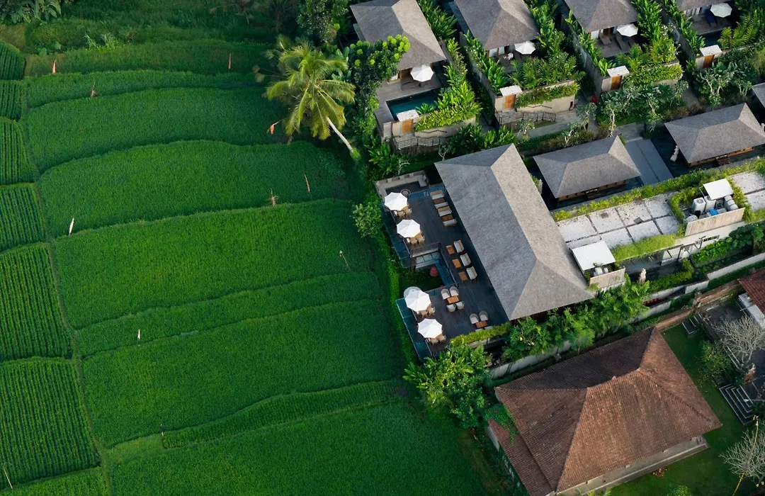 Kappa Senses Ubud-1
