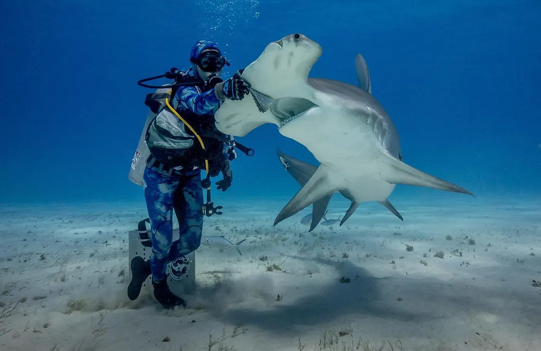 Bimini Big Game Club Resort & Marina-1