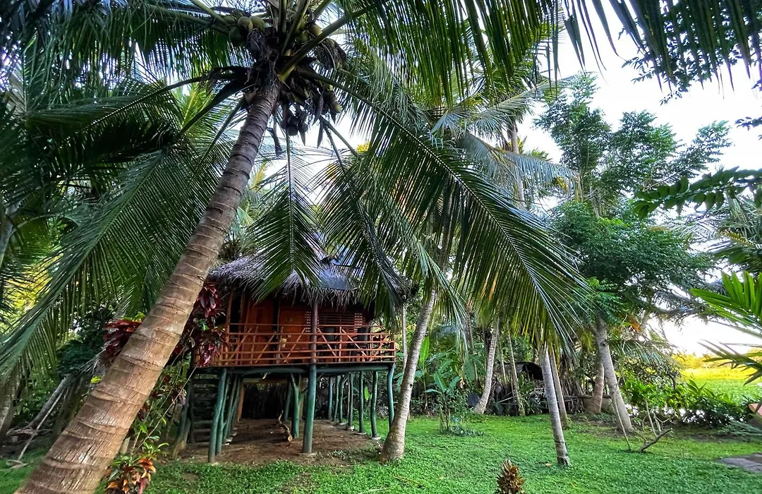 Lakeside Cabana Tissamaharama-1
