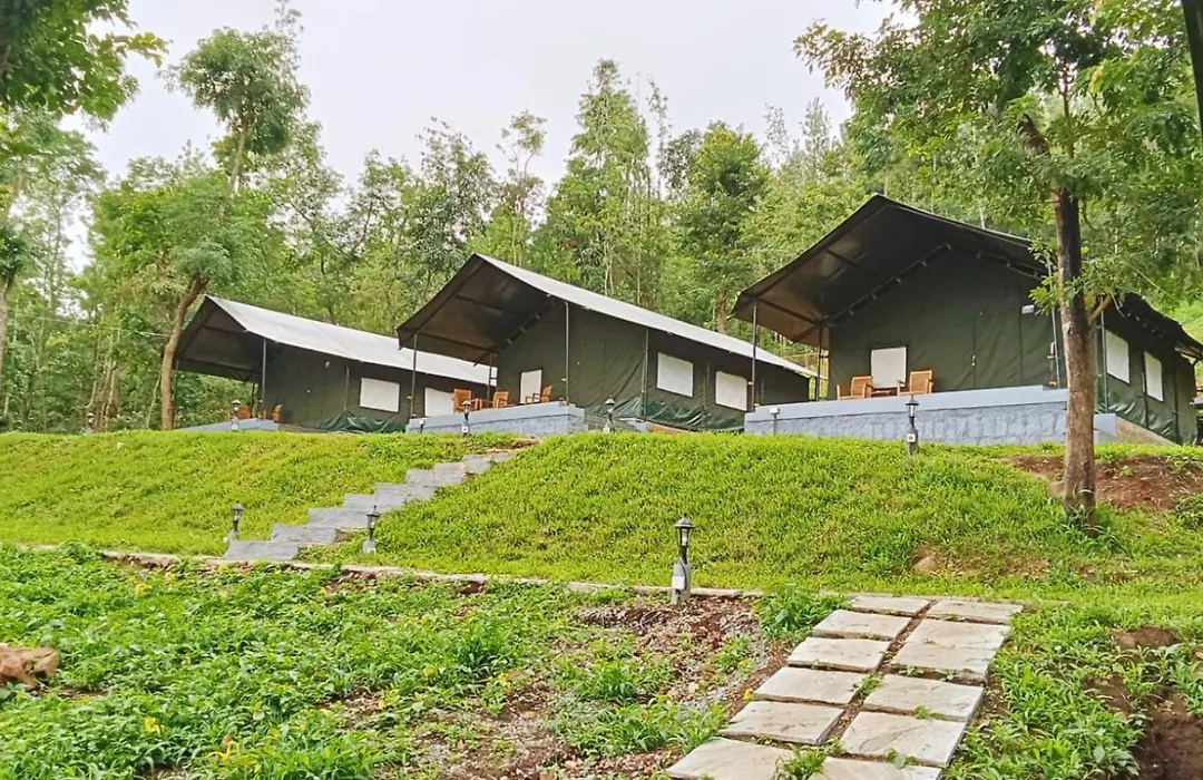 Coffeeberry Hills Chikamagalur-1