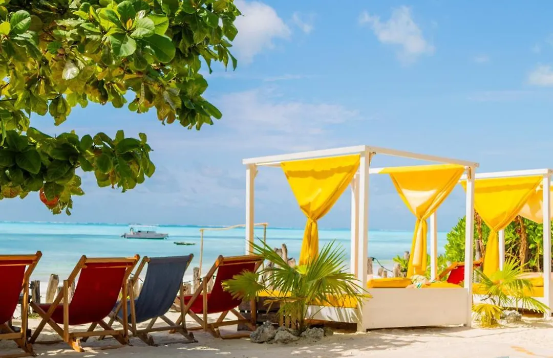 Pili Pili Beach Bungalows-1