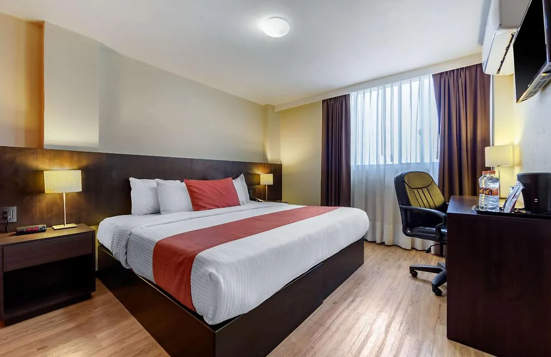 Comfort Inn San Luis Potosi-1