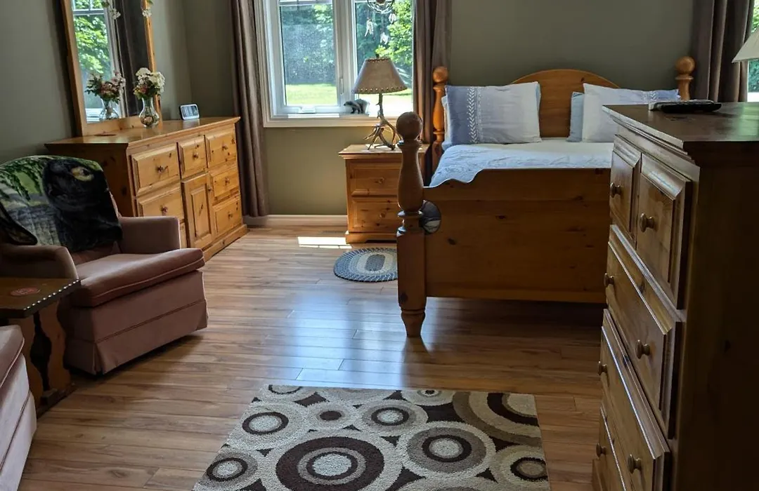 Bear & Butterfly Bed And Breakfast-1