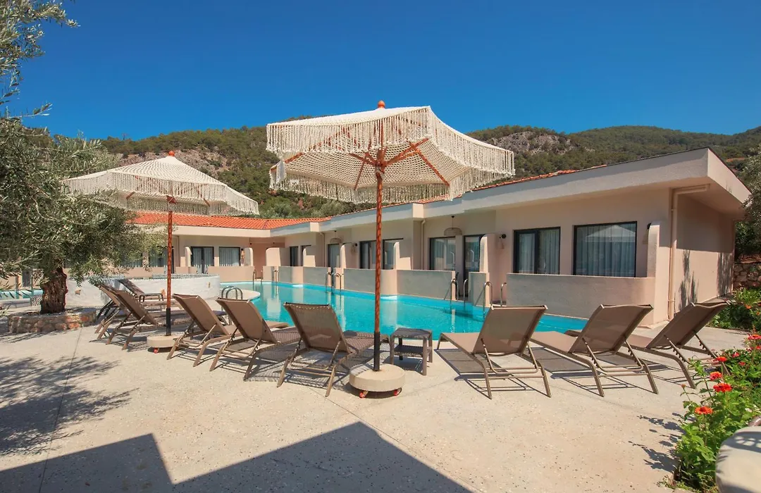 Z Exclusive Hotel And Villas-1