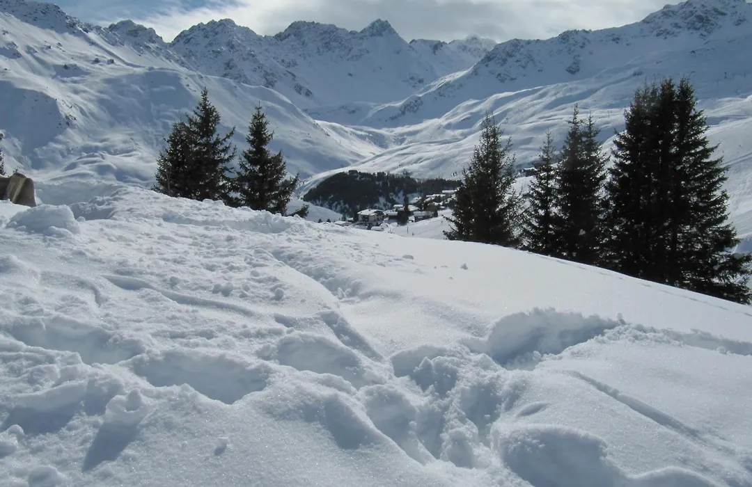Arosa Alpine Club - Adults Only-1