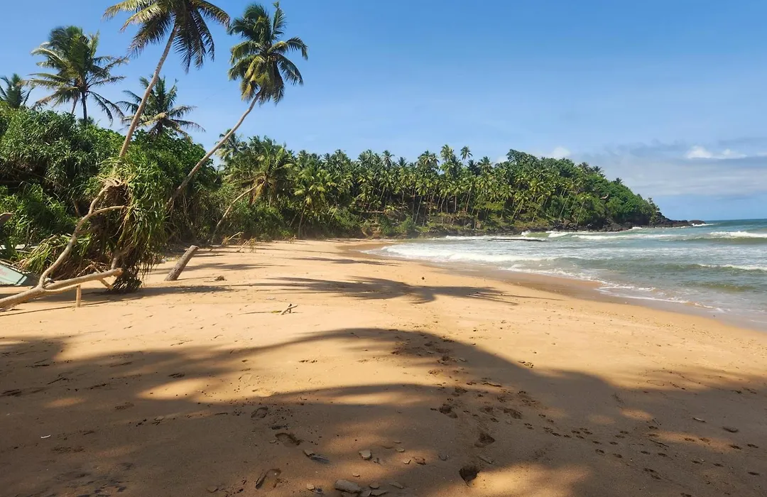 Red Sun Beach Villa Kosgoda-1