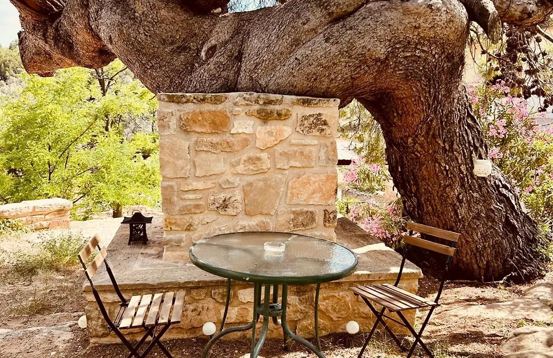 B&B Mas Del Pi-1