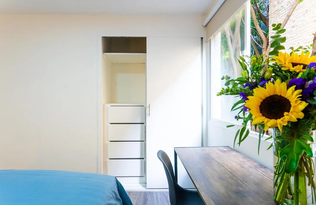 Private Room #3 In A 4 Bedroom Guest House In Roma Norte, Mexico City-1