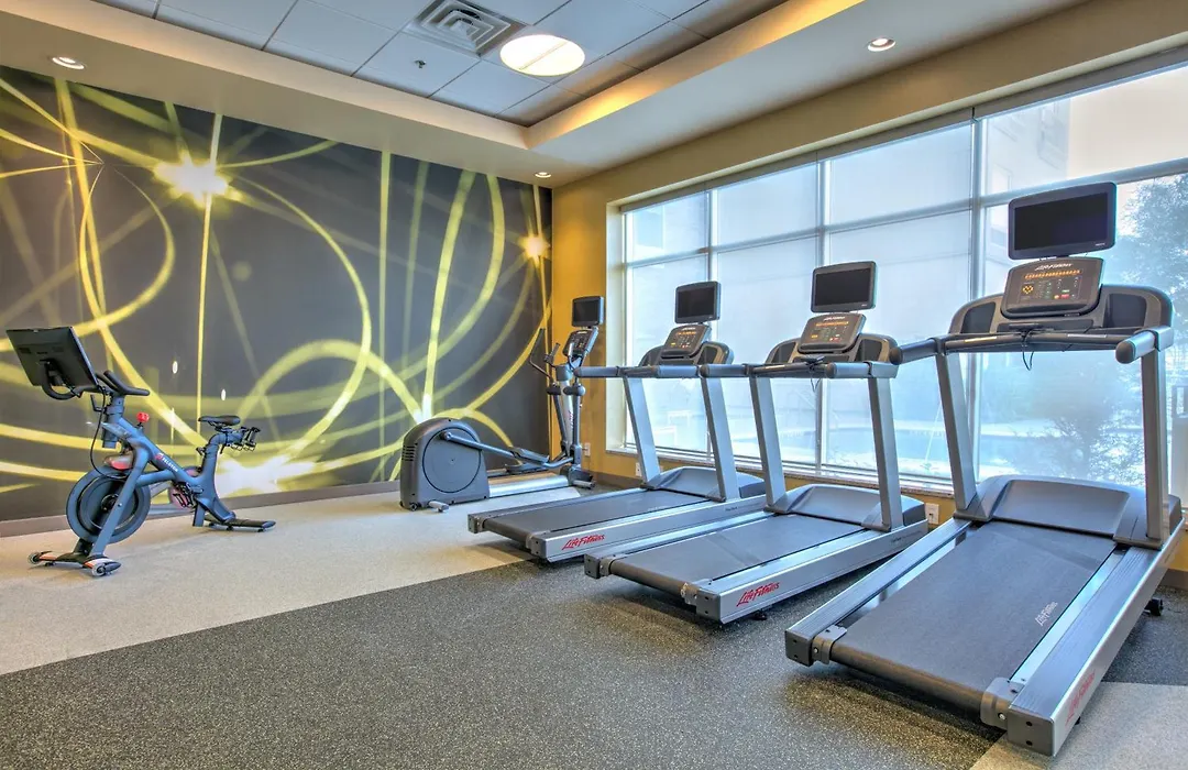 Hilton Garden Inn Dallas Arlington-1
