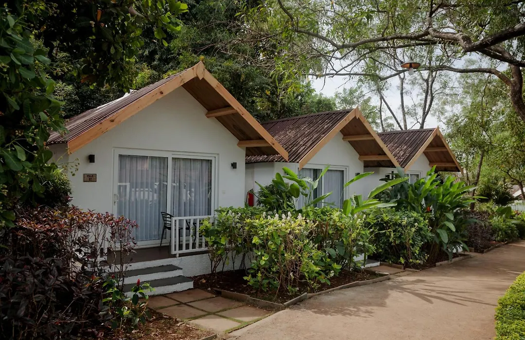 White Wood Resort By Stone Wood Hotels-1