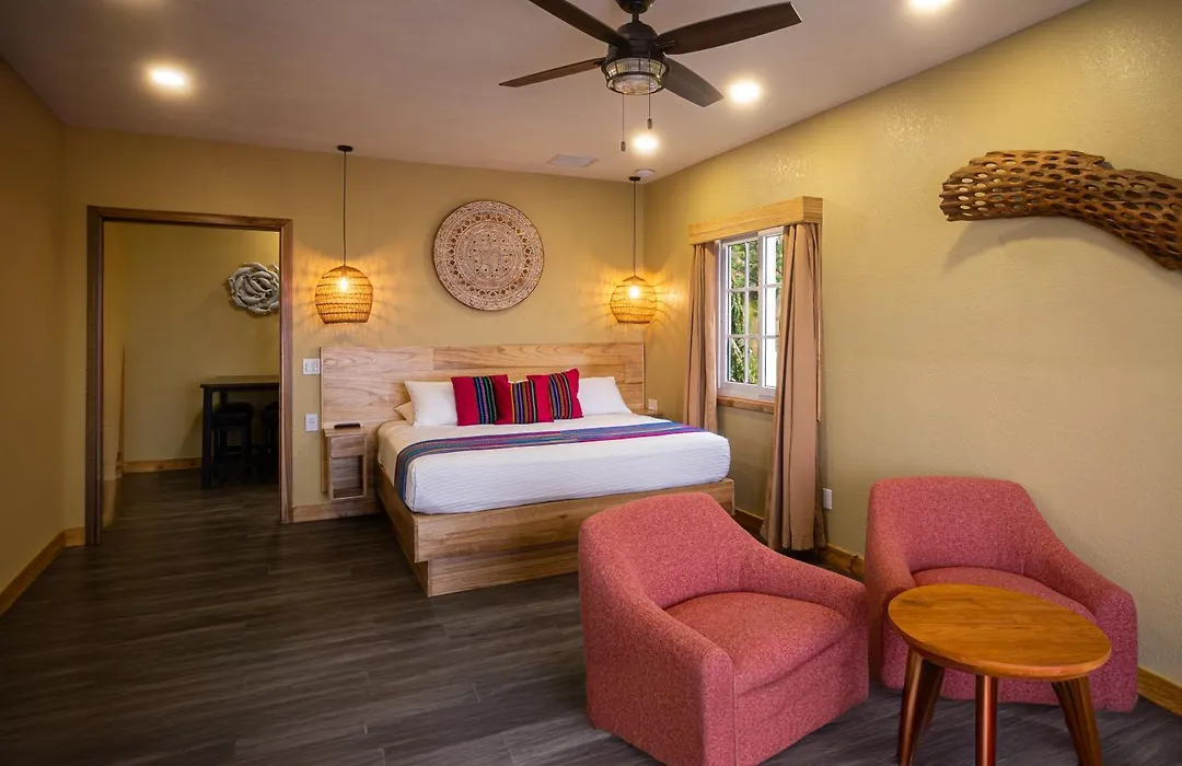 Mr. Tucan Hotel-1