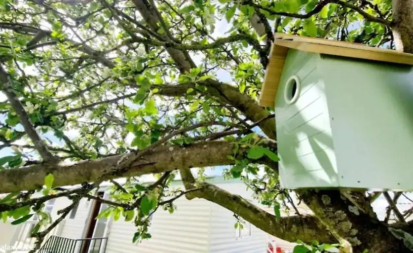 The Nest-1