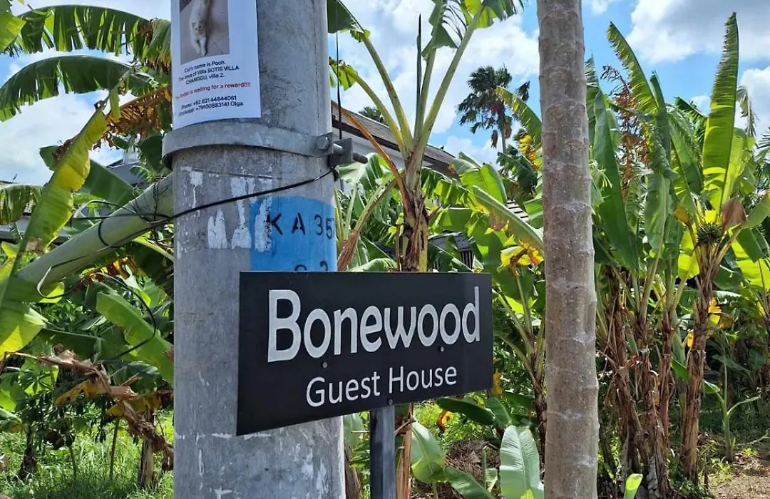Bonewood Guesthouse-1
