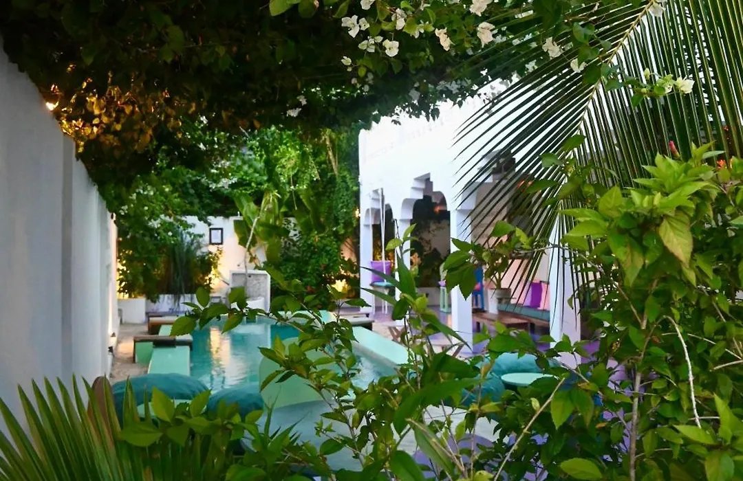 Minted Boutique Hotel-1