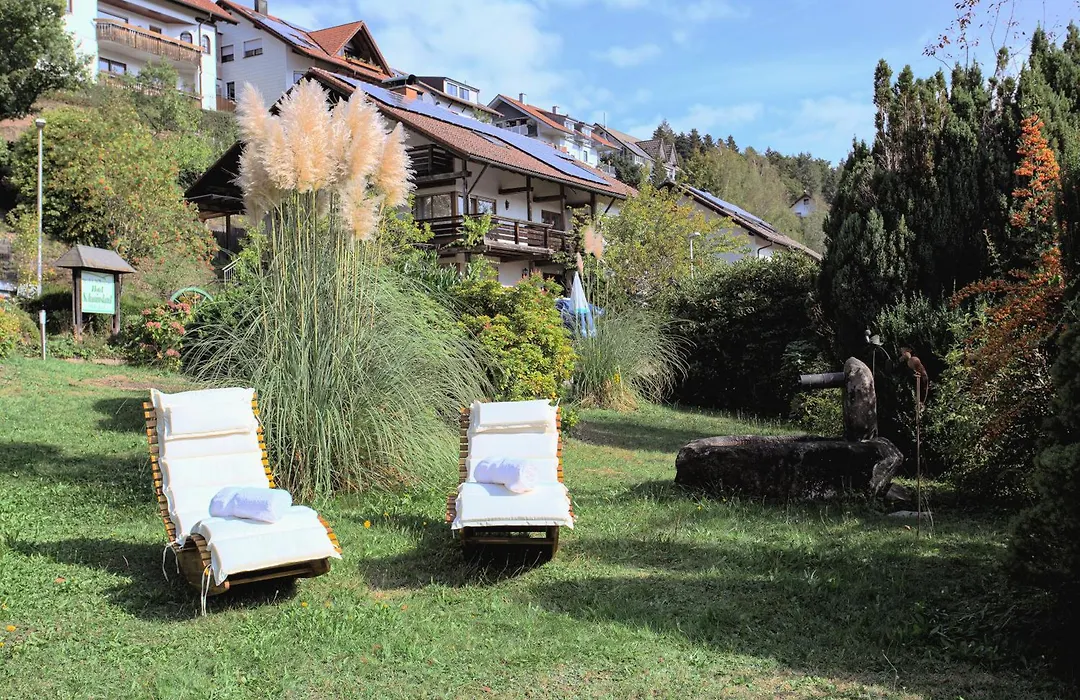 Hotel Schauinsland-1