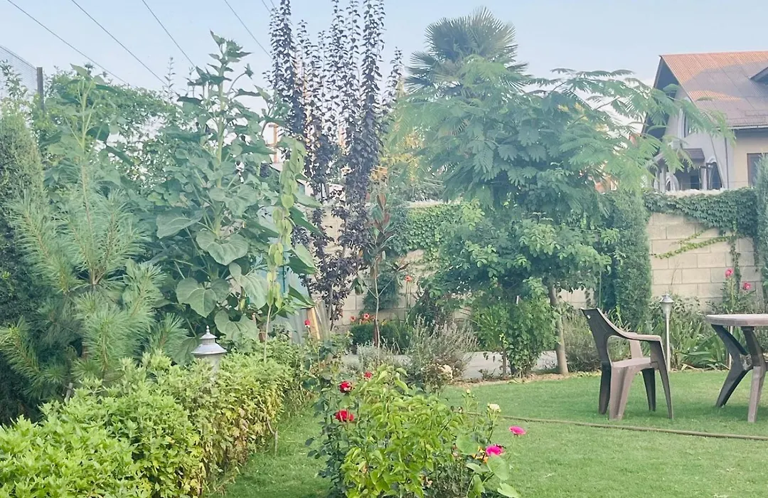 Sb Home Stay-1