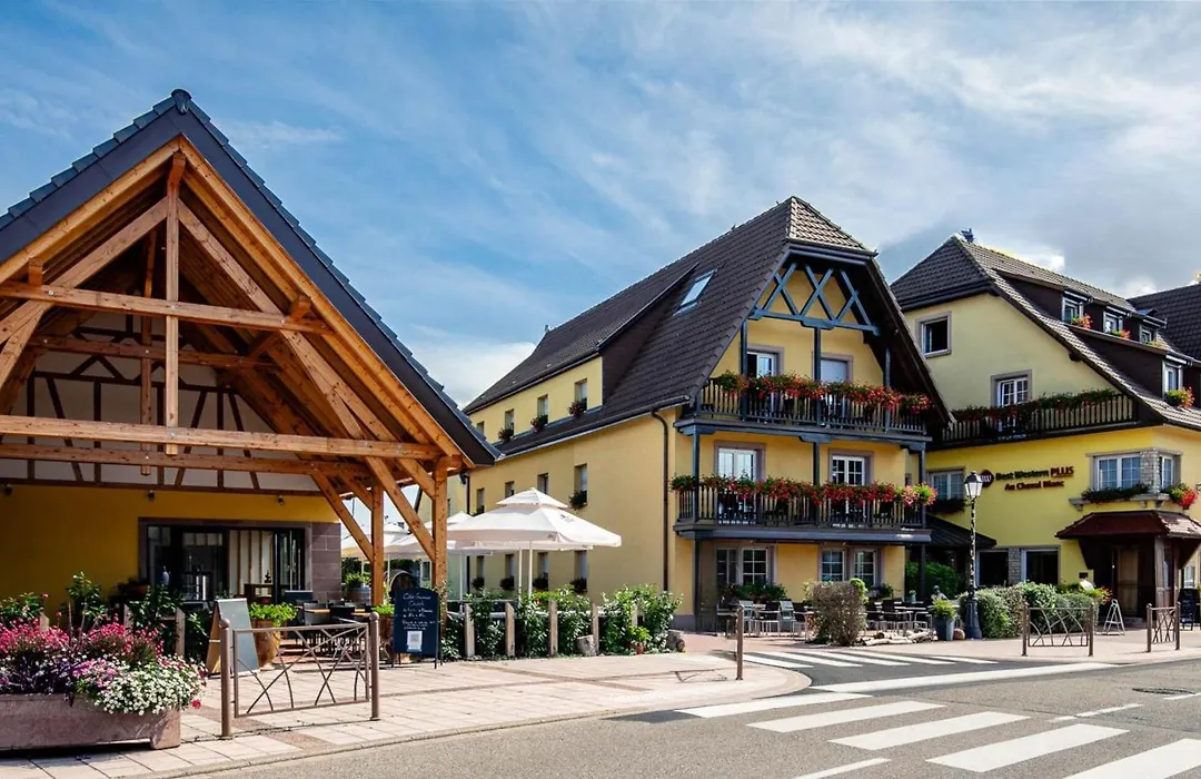Best Western Plus Au Cheval Blanc A Mulhouse-1