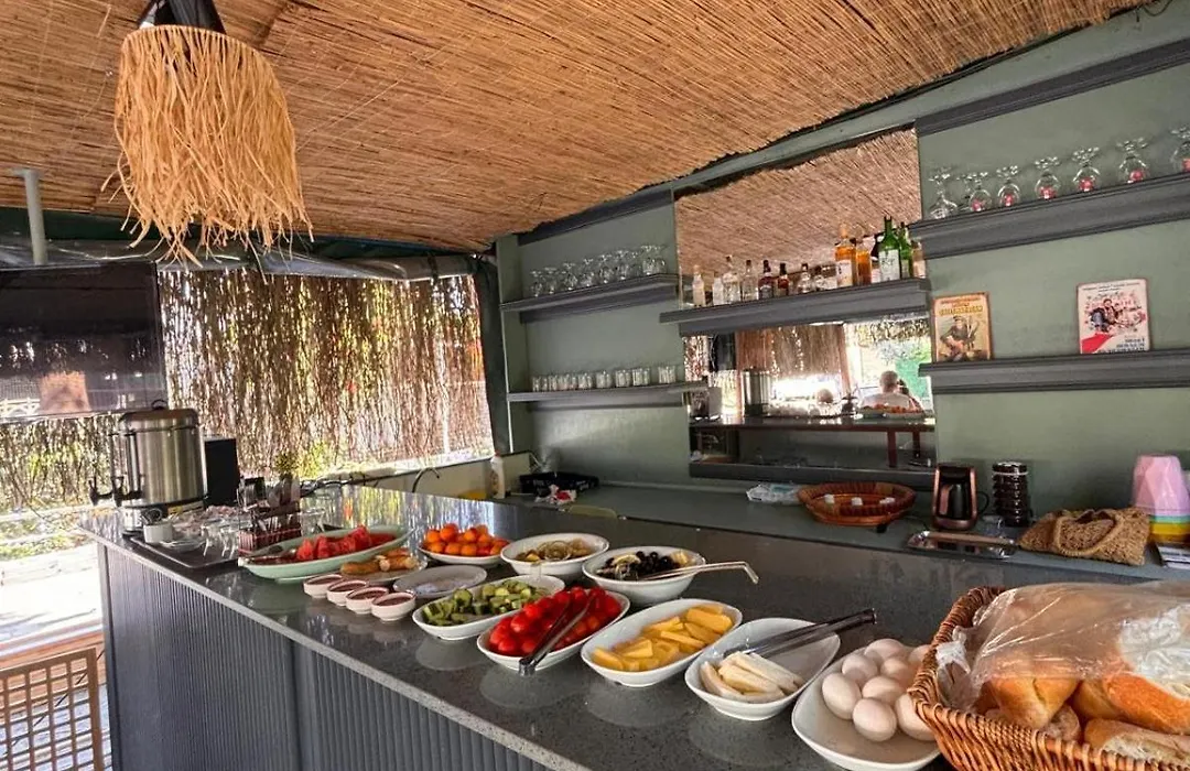 Limon Hotel-1