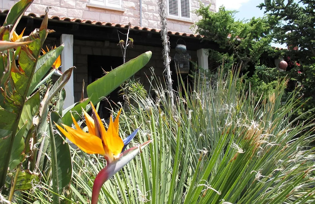 Guest House Maria Bilicic-1