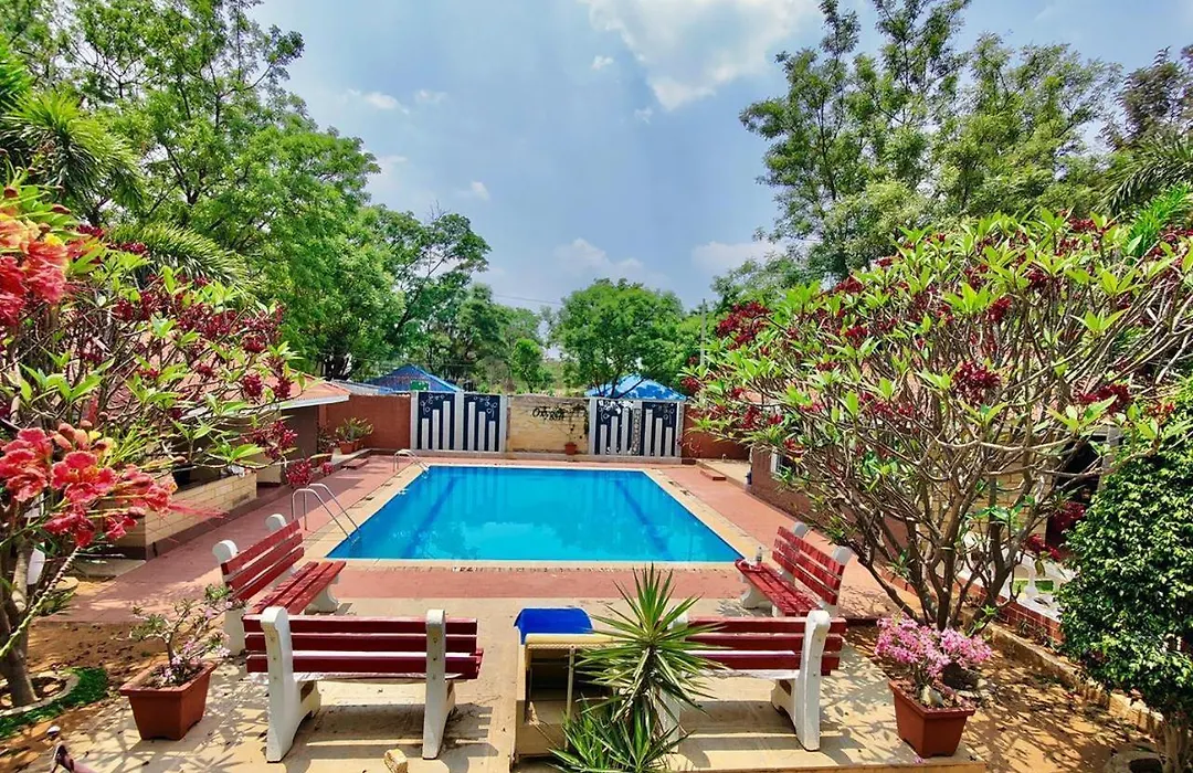Button Eyes Resort - Pet Friendly-1