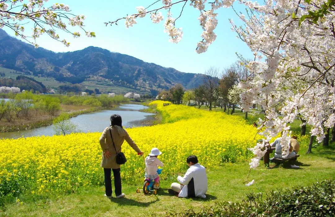 Hotel Sunroute Niigata-1