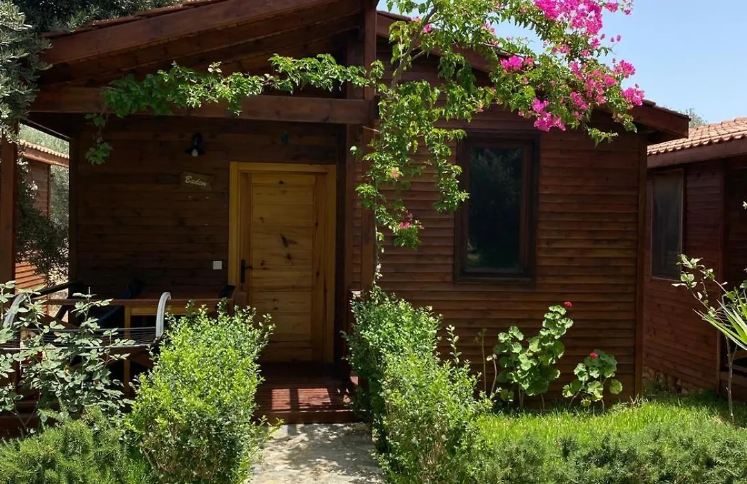 Suzi'nin Bahçesi Bungalov Evler-1