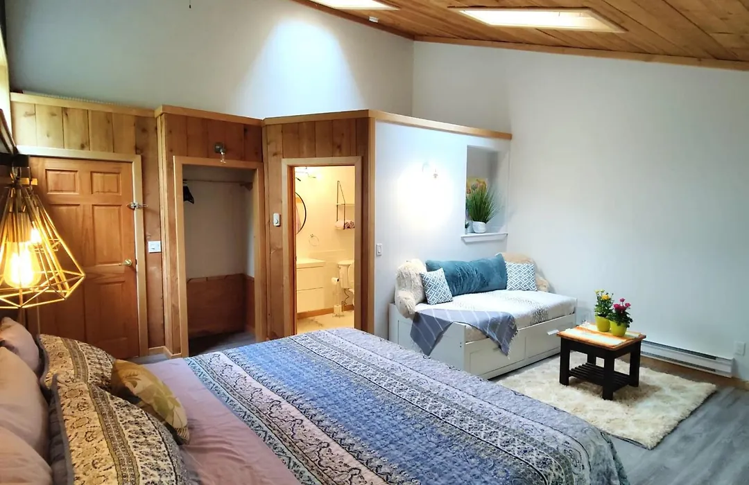 Hummingbird B&B-1