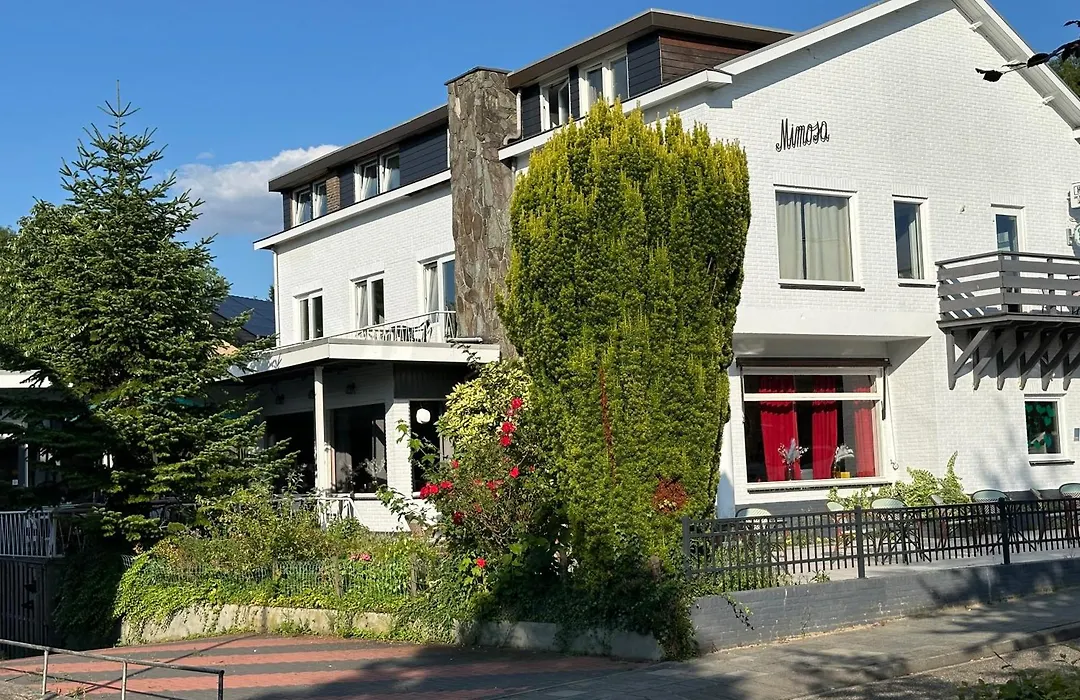 Mimosa Hotel-1