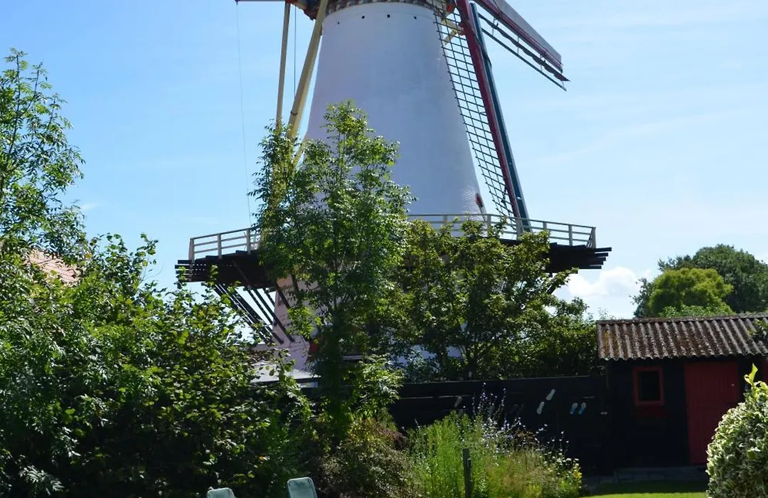 B&B Onder de Molen-1