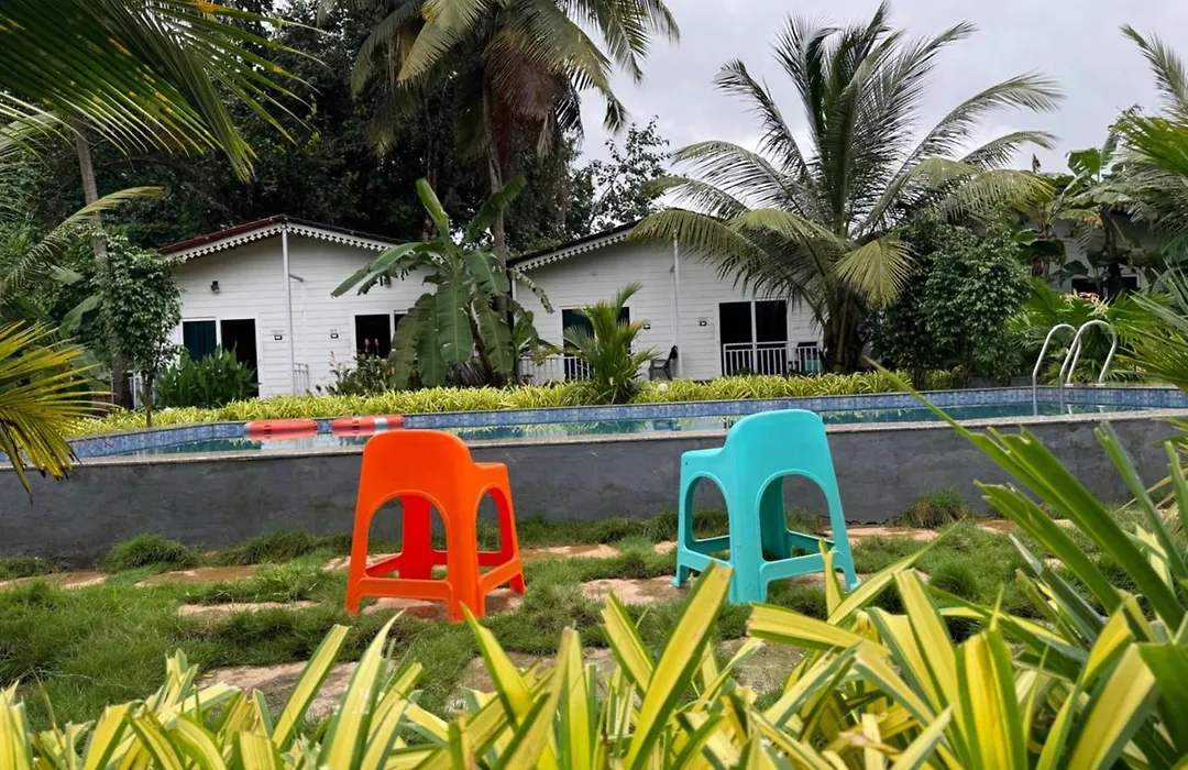 White Truffle Resort, Arambol-1