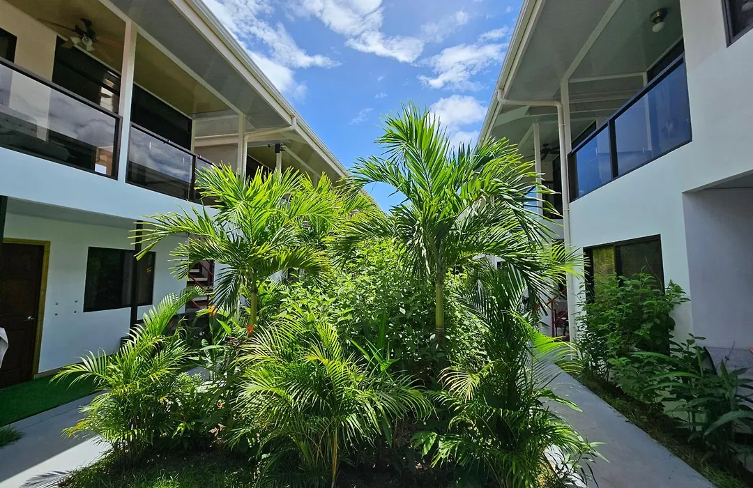 Ballena Rey Hotel-1
