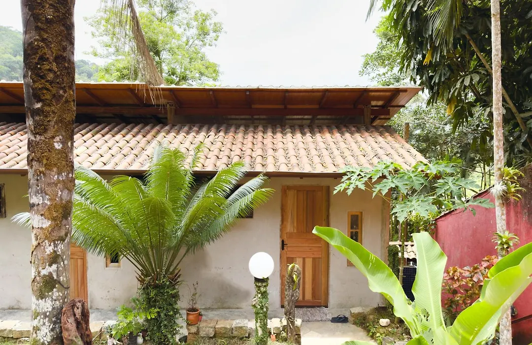 Pé de Café Itamambuca-1